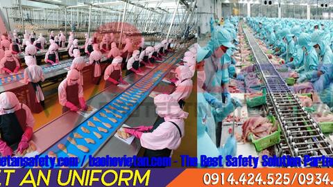 QUẦN ÁO CÔNG NHÂN LÀM VIỆC TRONG NHÀ MÁY CHẾ BIẾN THỦY SẢN!