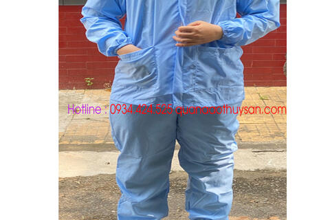 Quần Áo Thưc Phẩm Silk Xanh Dài Tay